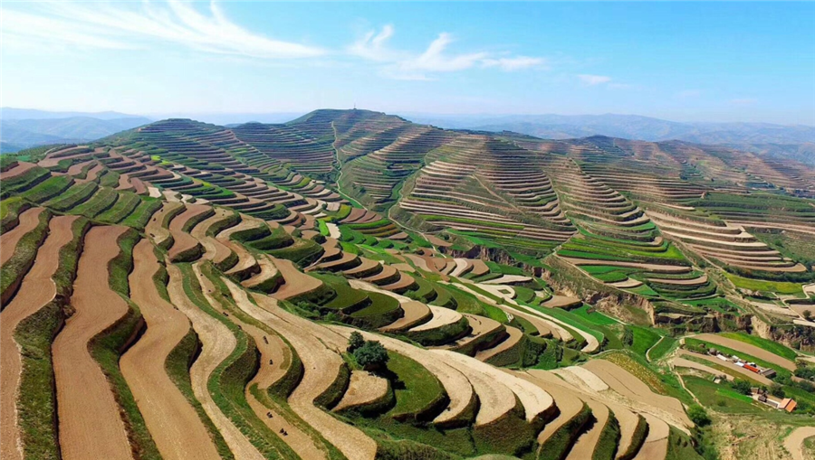 好博体育足球生物｜国家重点研发计划“黄土高原旱作适水改土与产能提升技术模式及应用”项目启动
